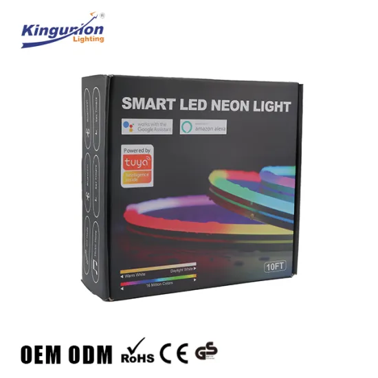 Kingunion Custom Neon 5050 2835 LED Strip Light IP65 12V RGBIC Silicone Flex Rope