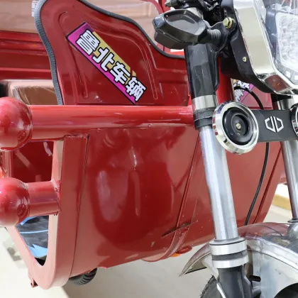 Cargo Bike 3 Wheel Electric Cargo Car