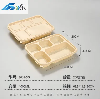 Five compartments lunch box
