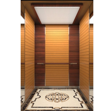 High Quality Luxury Elevator and Lift Decoration for Hotels