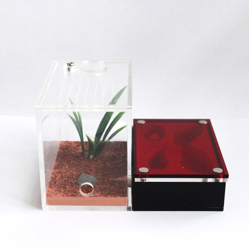 Enviromental Heat-Resistant Acrylic Pet cage