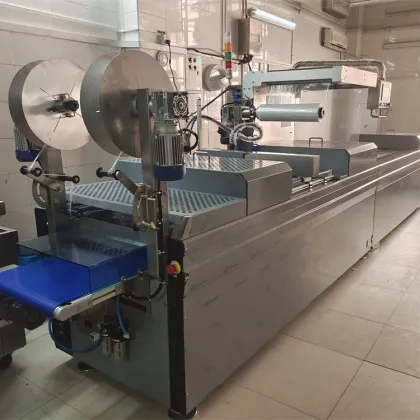 Stainless Steel Thermoforming Vacuum Packing Machine for Rice and Dates