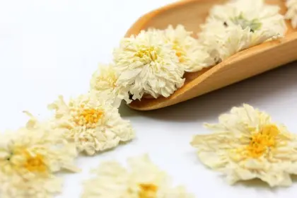 Huangshan Chrysanthemum Tea