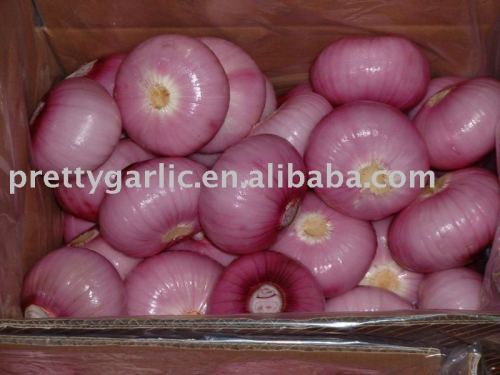 Yafod Chinese Red Onion