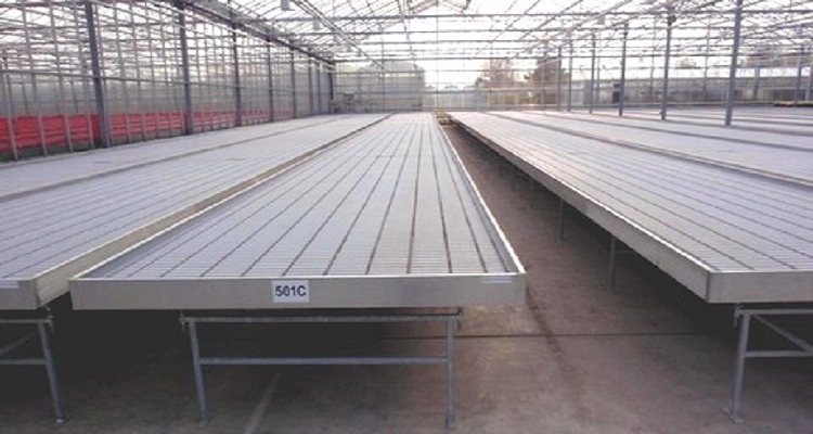 Agriculture Seed rolling bench For Greenhouse