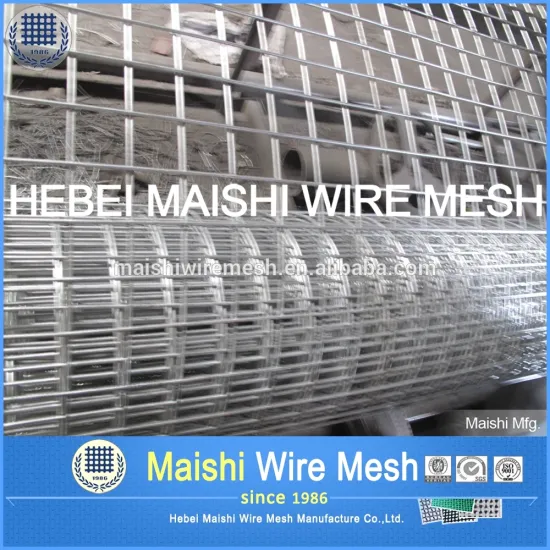 Galvanized Coated & Stainless Bird Screen Wire Mesh Barriers