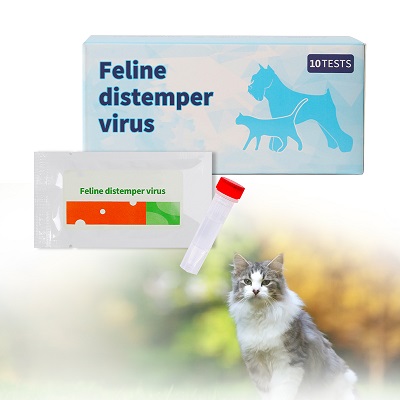 feline distemper 2-4