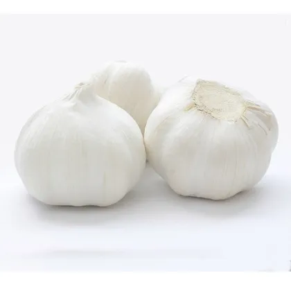 New Crop Chinese Brand Pure White Garlic
