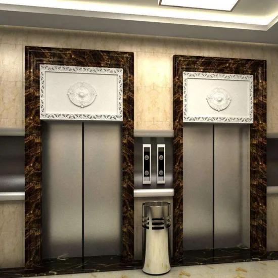 Mirror Etching Passenger Elevator for Building and Home