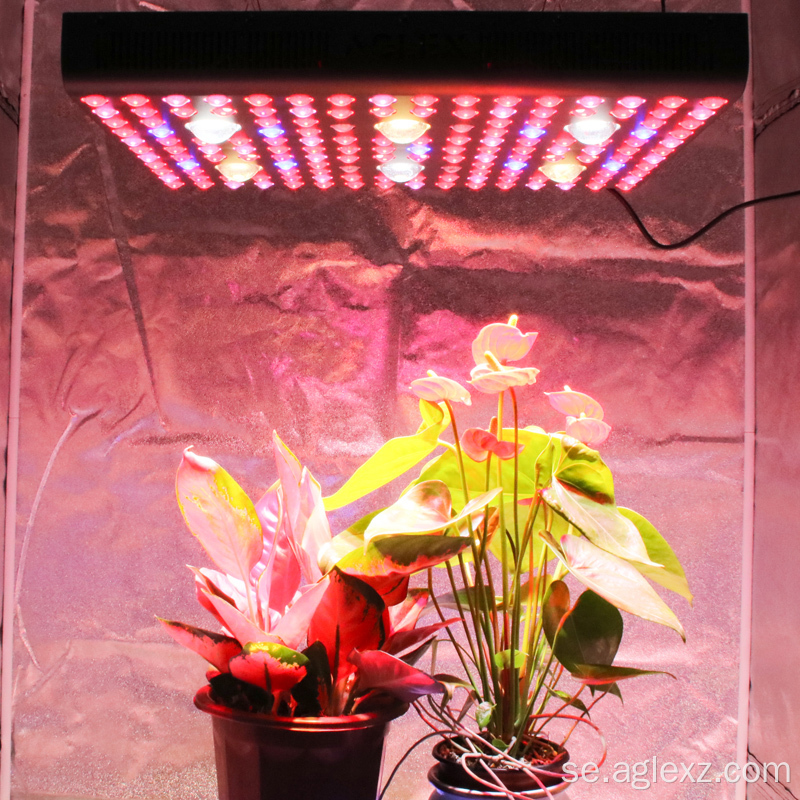 Full Spectrum Grow Light LED-lampa inomhusväxter