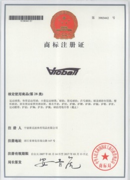 vicball certificate