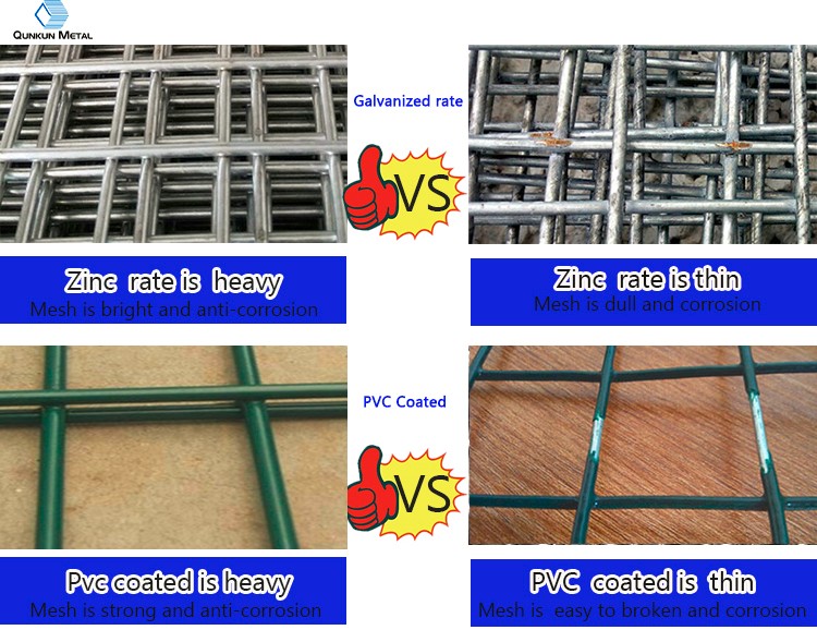 Galvanized Welded Wire Mesh