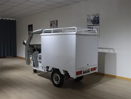 Electric Mini Cargo Van for Express Transportation