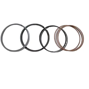 NPR RIK Engine Piston Ring for Honda Accord Odyssey - 13011-RAD-004 13011-PEA-003