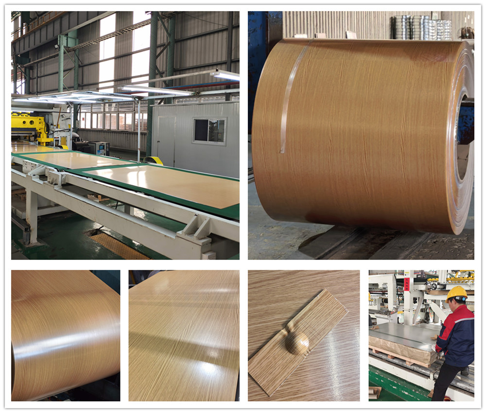 Laminated film coated steel