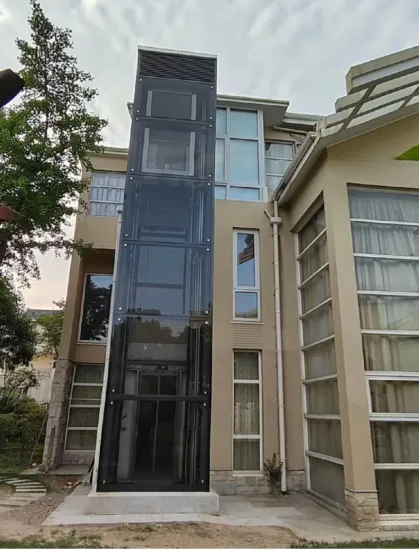 2 floor 4 person 300 kg CE certified Home Elevator Manufacturer rovides