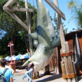 Life size animatronic shark for sale