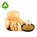 Pepino melon fruit panax ginseng berry extrait poudre