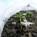 Polipropileno no tejido para la protección de heladas de las verduras