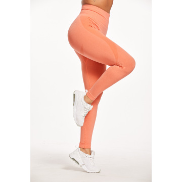 Feuchtigkeits -Docht -Training nahtloser Yoga -Leggings