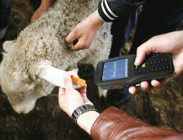 handheld rfid reader for cattle running winCE