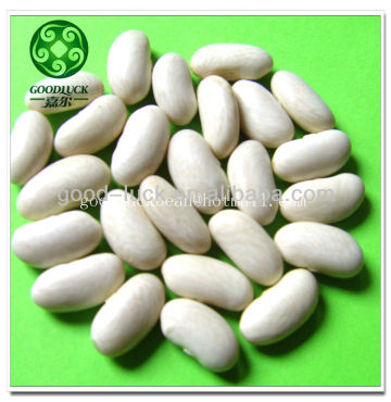 All Types of WKB White Beans Baishake,Japanese