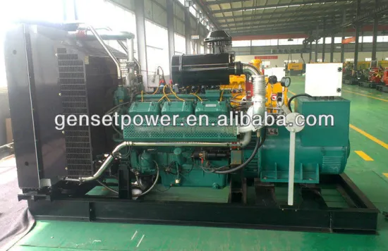 45kw to 700kw Generator Gas
