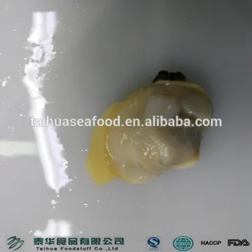 TAIHUA SHORT NECKED CLAM MEAT IQF