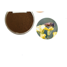 Dry Bee Propolis Extract 70% Propolis Flavone