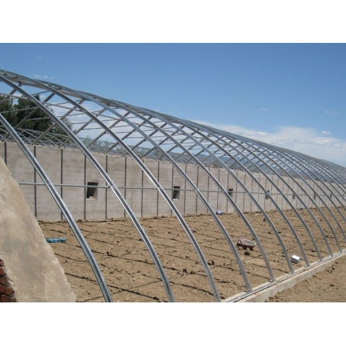 Wall Type Solar Warm Greenhouse
