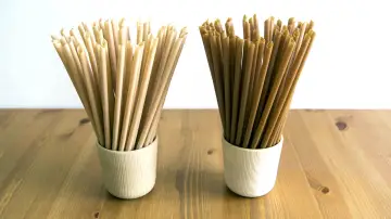 Biodegradable plant fibers straws products