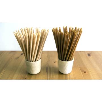 Biodegradable plant fibers straws products