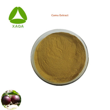 Botanical Extracts Fruit Powder Camu Extract Vitamin C
