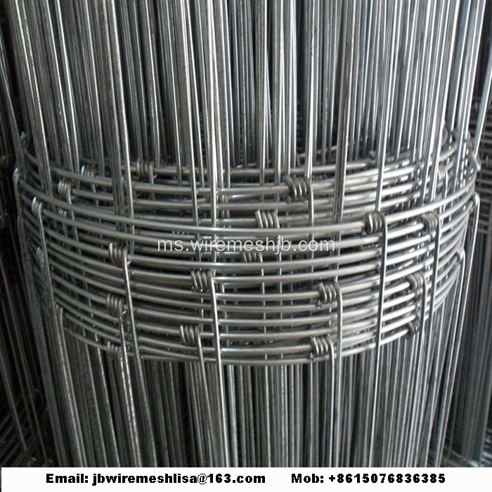 Rangkaian Kraal Galvanized Hot Dipped