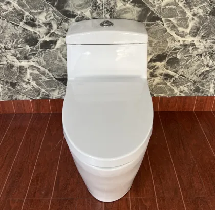 Affordable Integrated Siphon Small Toilet Options
