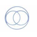 EP PTFE/EPDM Manlid Seals