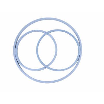 EP PTFE/EPDM Manlid Seals