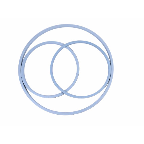 EP PTFE/EPDM Manlid Seals