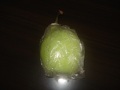 Qualidade Padrão de Exportação de Fresh Ya Pear