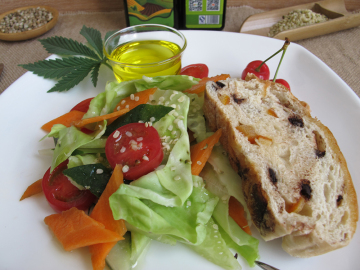 Organic 100% Natural Plant Extracts Hemp Oil