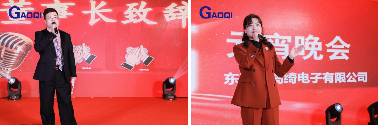 Dongguan Gaoqi Electronics Co.Ltd