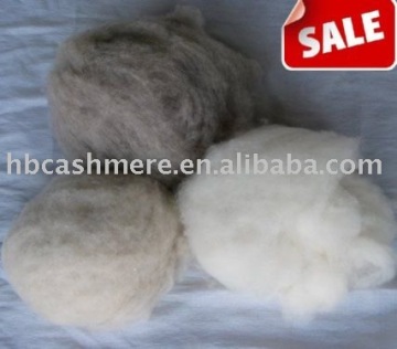 dehaired washed pure 100% cashmere fibers