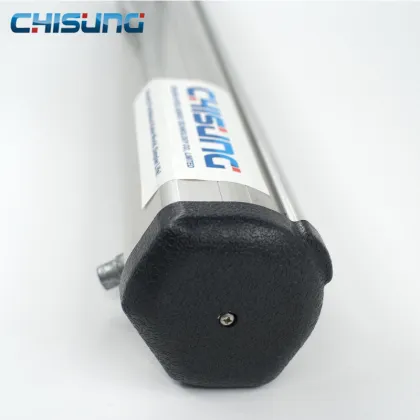 Chisung 200kg Automatic Swing Gate Opener for Villa Doors