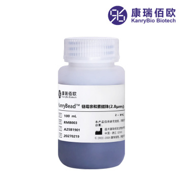 Microsfere magnetiche KanryBead™ streptavidina (2,8 μm)