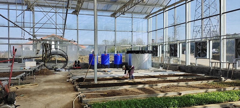 Qingcheng Agriculture's Smart Irrigation Project in Xiushan Empowers Rural Revitalization