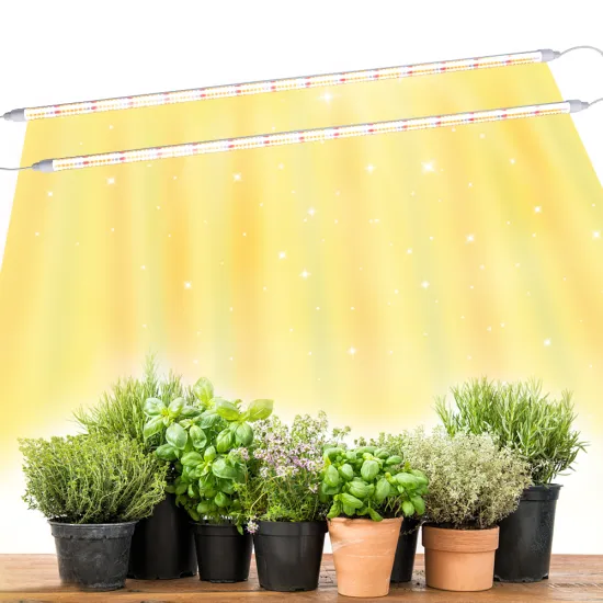 Full Spectrum LED Grow Lights: Enhancing Plant Growth in Your Vegetable Farm