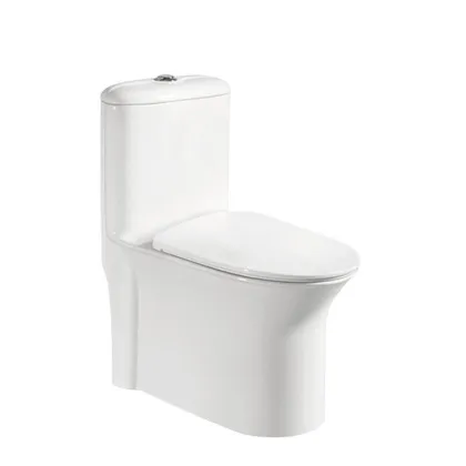 modern toilet seat on Amazon on sale