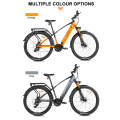 250 W mittlerer Motorstadt -Ebike