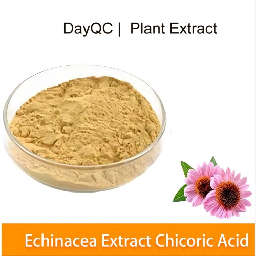 Extrato de Echinacea Purpurea 4%Echinacea polifenóis