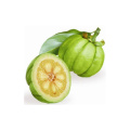 CAS 90045-23-1 60% HCA Garcinia Cambogia Pulver